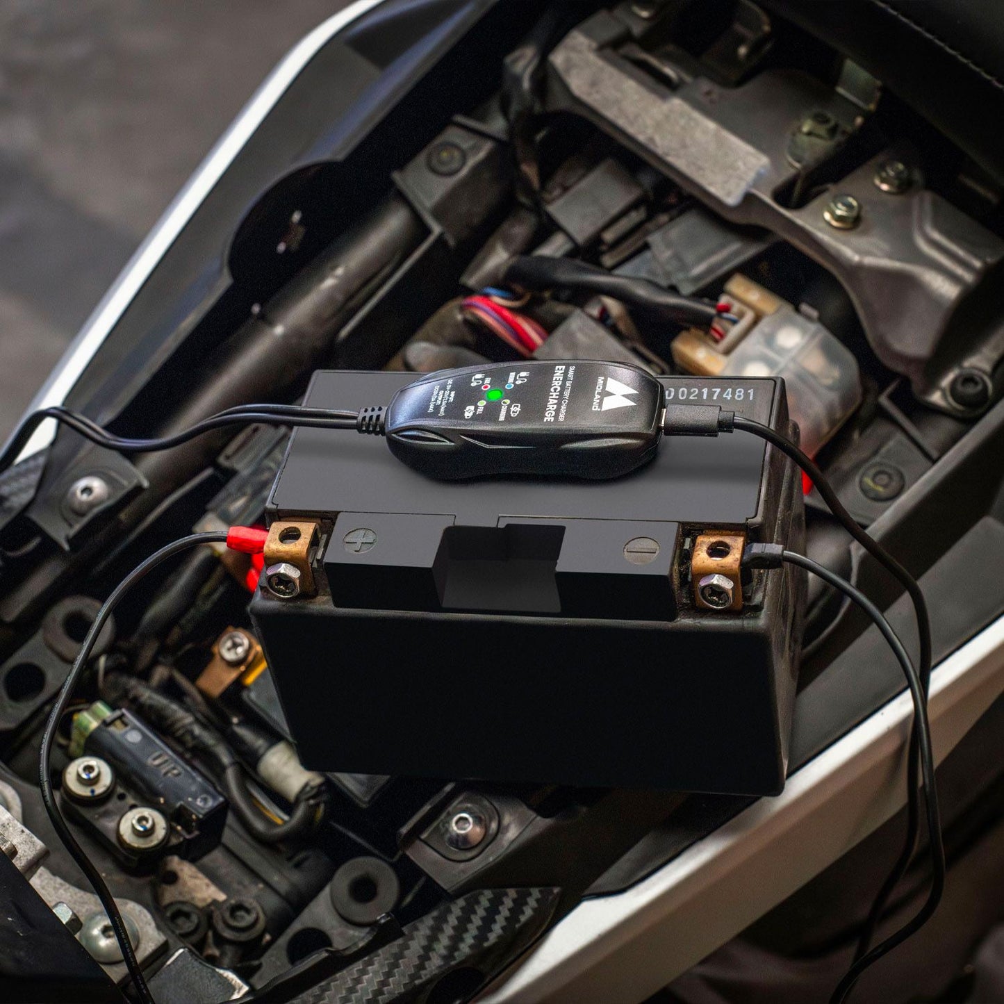Midland Enercharge - Caricatore di batterie moto